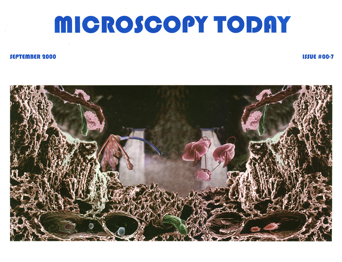 Mobile Alabama photographer Adrian Hoff's cover illustration for Microscopy Today magazine.